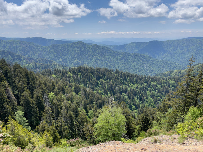 Tennessee