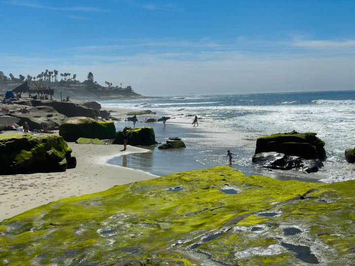 California