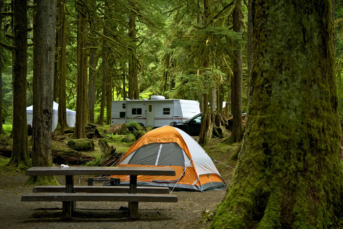 State Parks & Recreation Areas