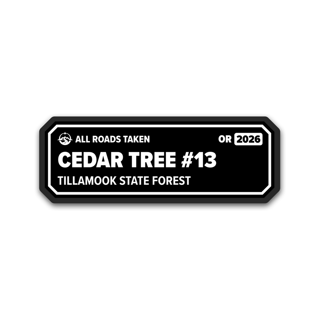 Cedar Tree #13 2026