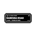 Nabesna Road