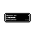 Salmon National Forest